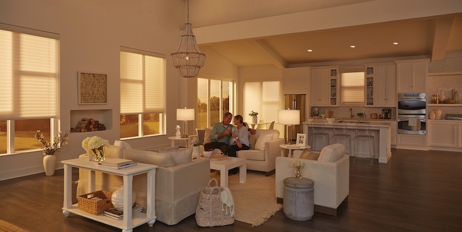 Keep your Lutron Shades working great with regular cleaning and maintenance.