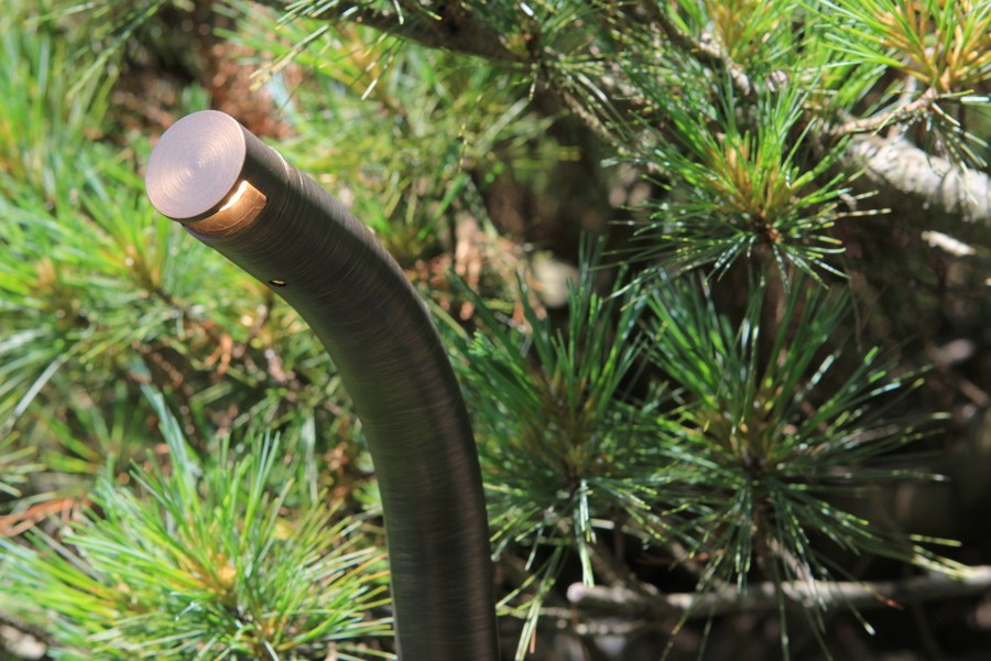 Close-up of a curved Coastal Source lighting fixture with copper accent cap, positioned among green pine branches.